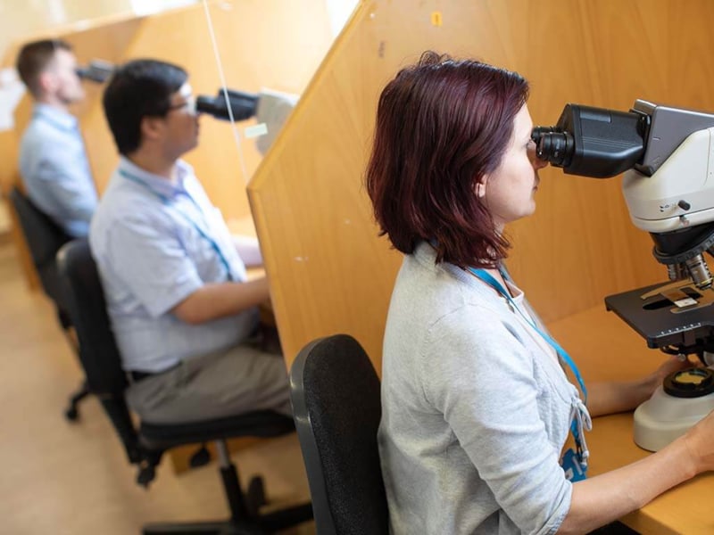 pathologists looking through microscopes